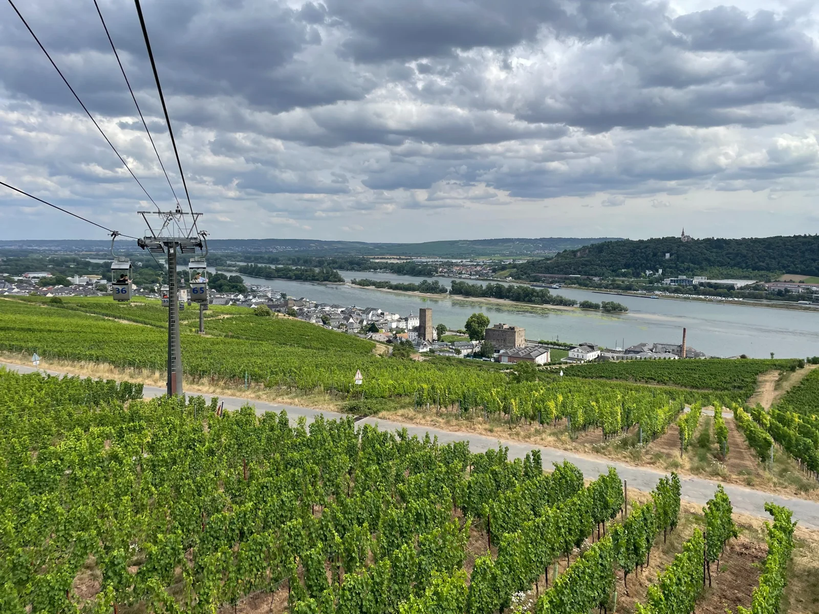 Cable car cabins above the vineyards with the Rhine in the background