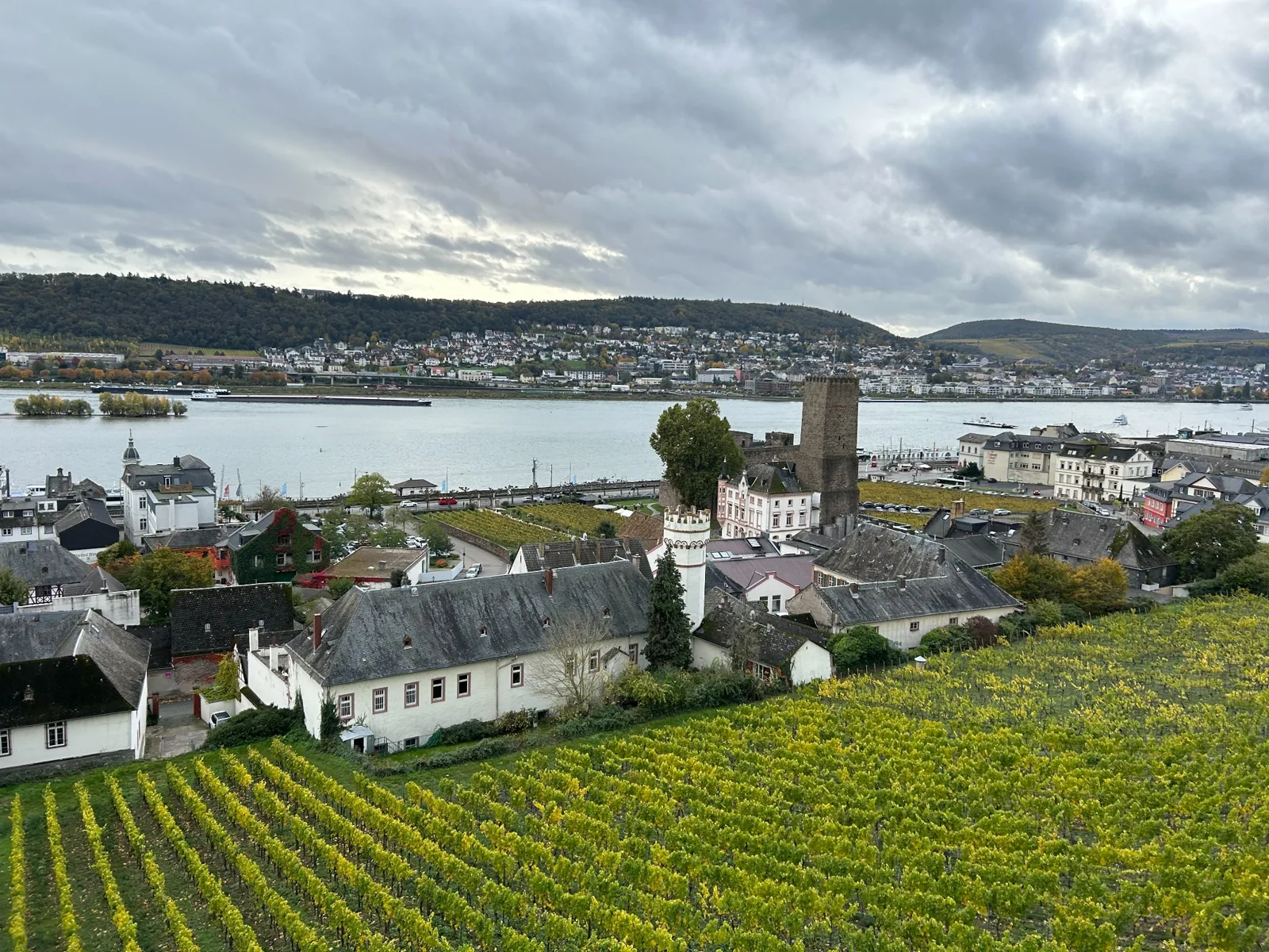 Rüdesheim rooftops and vineyards beside the Rhine under a cloudy sky