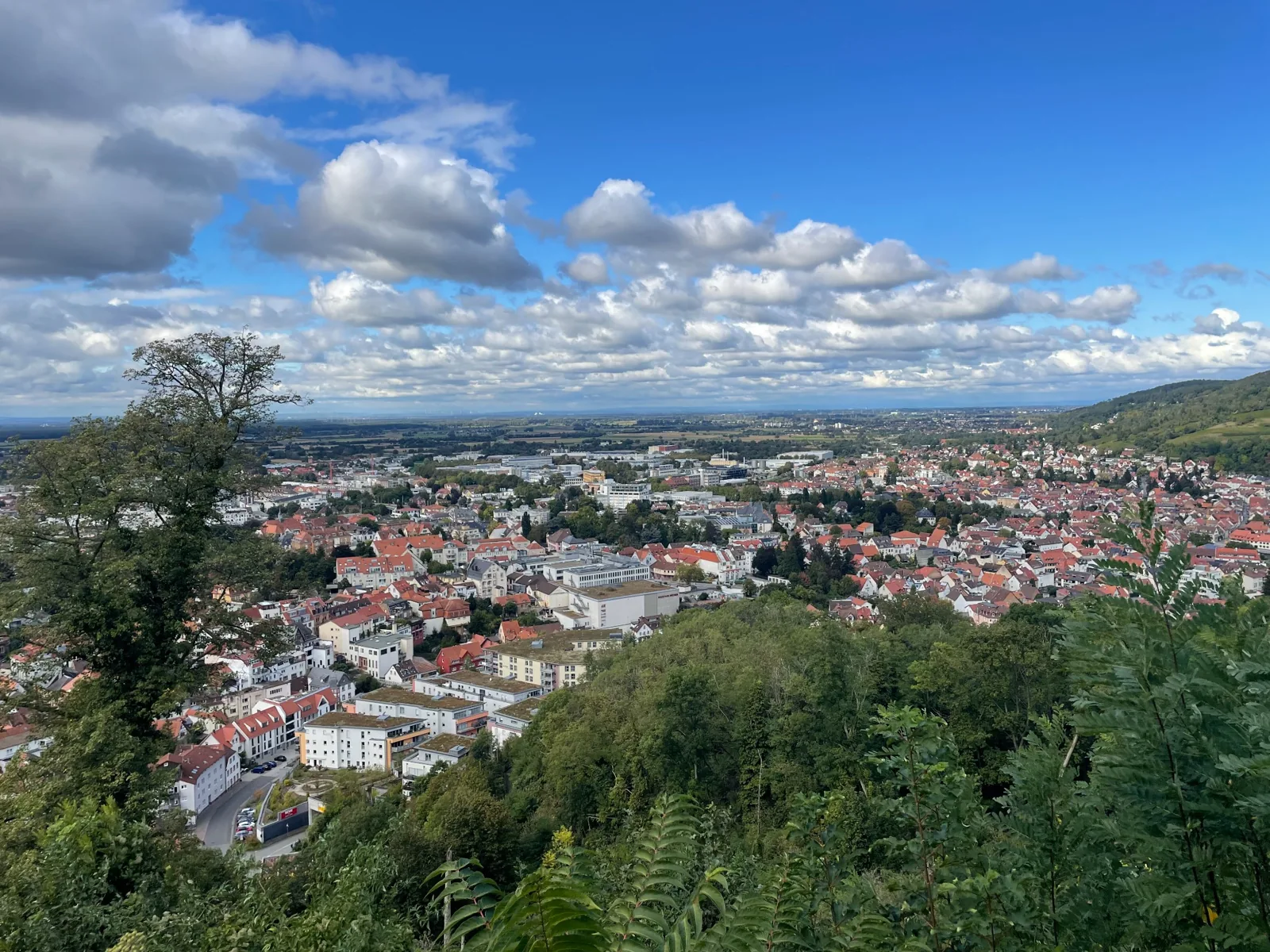 View over Weinheim from the hillside near the Grüffelo trail